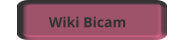 Wiki Bicam