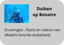 Duiken  op Bonaire  Ervaringen , fotos en videos van  Miekes favorite duikeiland.
