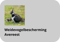Weidevogelbescherming Avereest