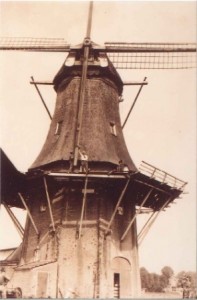 Het strijken en steken van de Potroeden roeden in 1936 Het strijken van de oude roeden en het steken van de Potroeden in 1936 - foto collectie G.H. Varwijk