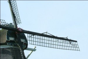 detail wiek zonder fok