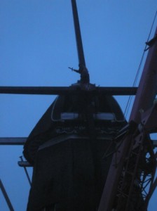 Nieuwe roeden De Star 008