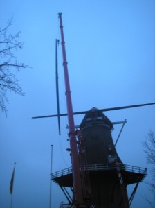 Nieuwe roeden De Star 013