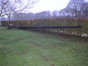 Nieuwe roeden De Star 015