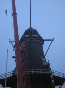 Nieuwe roeden De Star 017