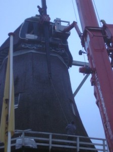 Nieuwe roeden De Star 020