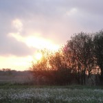 DSC02554