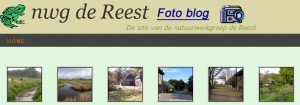 fotoblog
