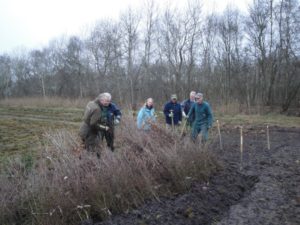 kleine-groep-bosplantoen