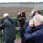 zoeken naar volgels