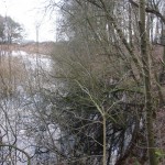 te veel begroeiing op de oevers