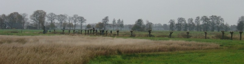 de laatste loodjes