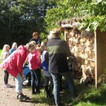 bij het insectenhotel