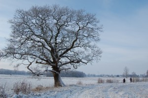 langs de rand van het landgoed