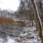Katingermeer