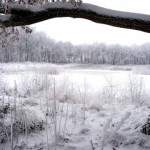 Katingermeer