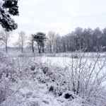 Reestdal