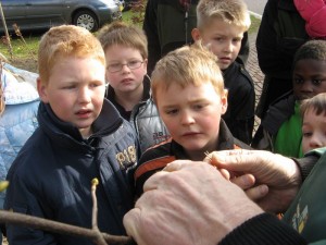 met volle aandacht- foto jan kuiper