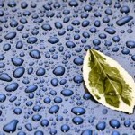 regen