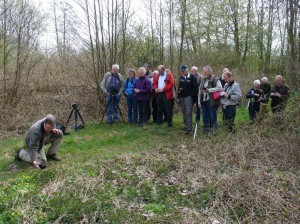 Met een compactcamera wil het ook 