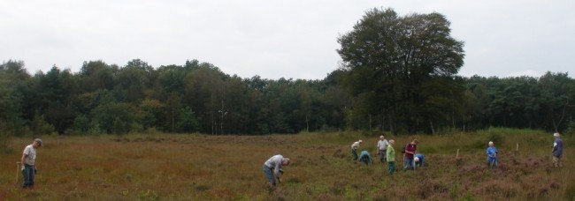 Opslag verwijderen uit de heide