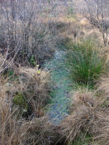 opslag rondom veengat 