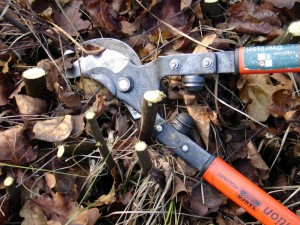 werken met de takkenschaar