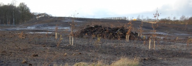 Stiggeltie bij Linde