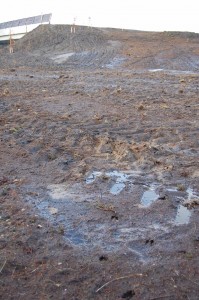ree heeft het ecoduct al ontdekt