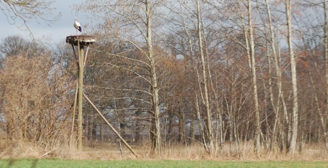 wachten op de grote liefde 