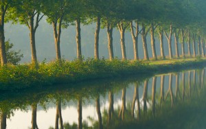 bomen langs de Drentse Hoofdvaart