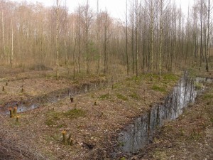 rabatten zijn goed zichtbaar