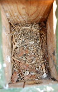 slaapplek in de winter