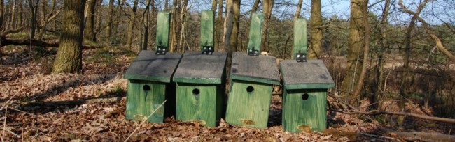 nieuwe nestkasten 