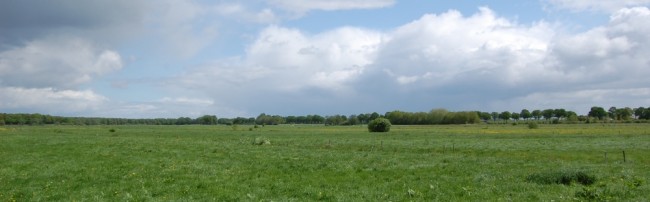 Reestdal bij Balkbrug 