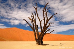 Sossusvlei