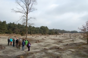 Werkgroep bekijkt Plan Vipera