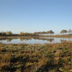 Nieuwe natuur