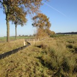 hulpje voor amfibieën en reptielen om veilig de weg over te steken