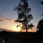 DSC02620
