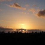 DSC02622