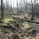 Veenput Haardennen