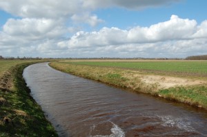 reestvervangende leiding januari 2008