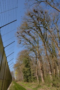 Kolonie Veldzicht Balkbrug