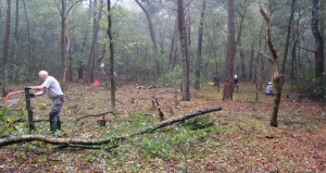 Open plek maken in oktober 2013