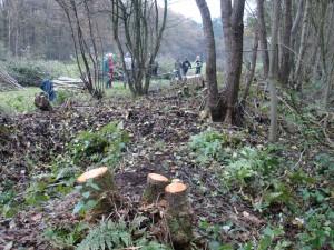 November 2012: start van het project 