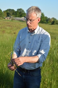 Uko vertelt over kenmerken van draadzegge en scherpe zegge