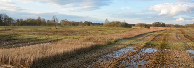 Schrapveen na het maaien najaar 2014 