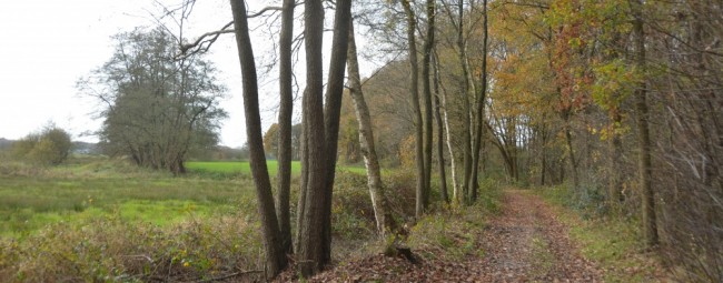 Mooi uitzicht op het beekdal 