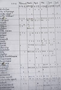 De tellijst van Maarten 